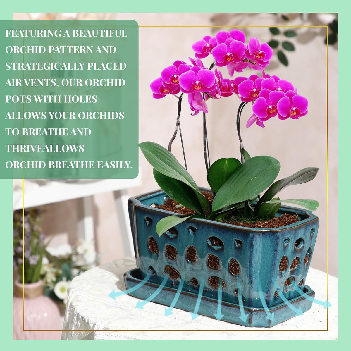 9.5" Blue Ceramic Orchid Pot with Saucer