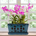 9.5" Blue Ceramic Orchid Pot with Saucer