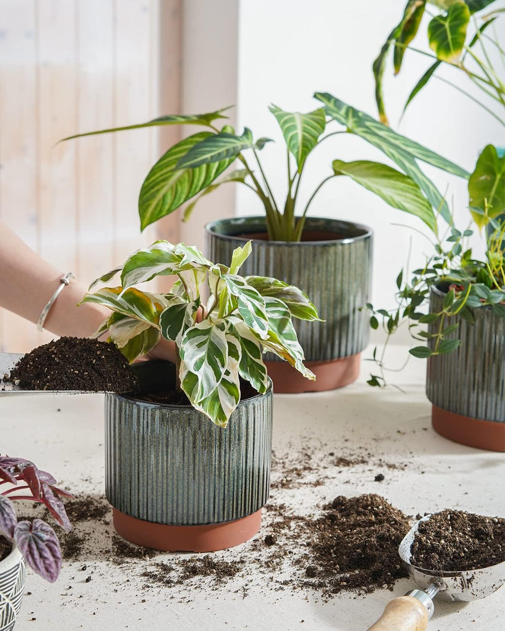 3‑Pack Black Reactive‑Glaze Stripe Ceramic Planter