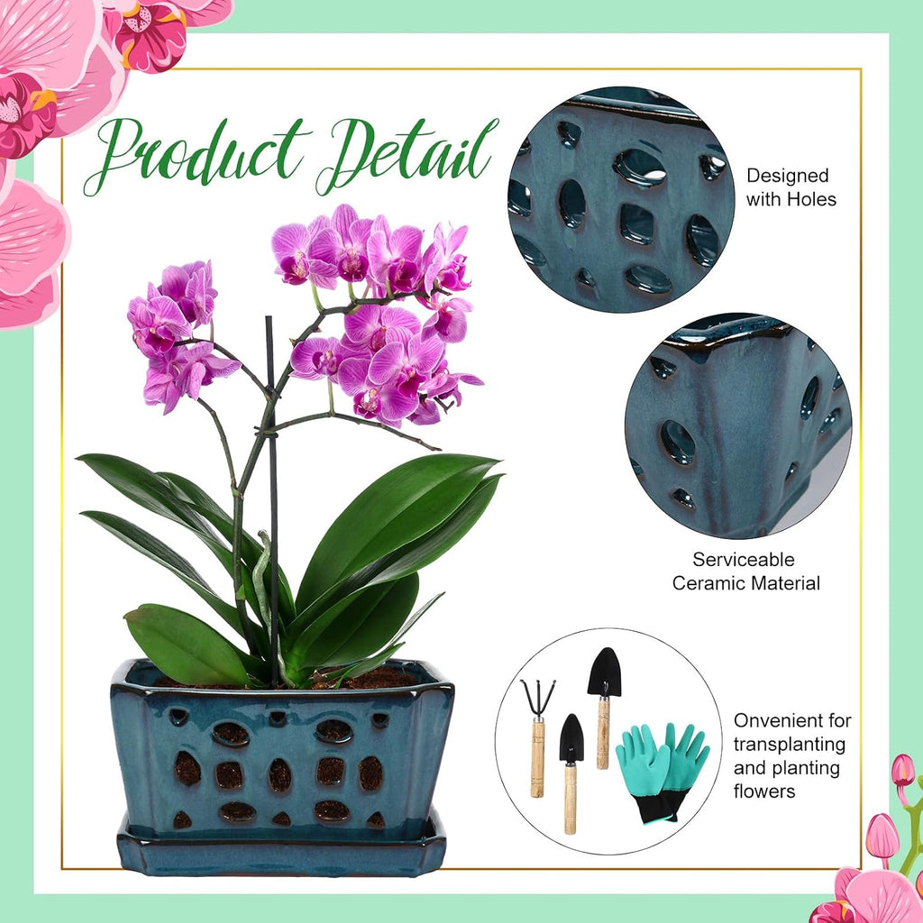 9.5" Blue Ceramic Orchid Pot with Saucer
