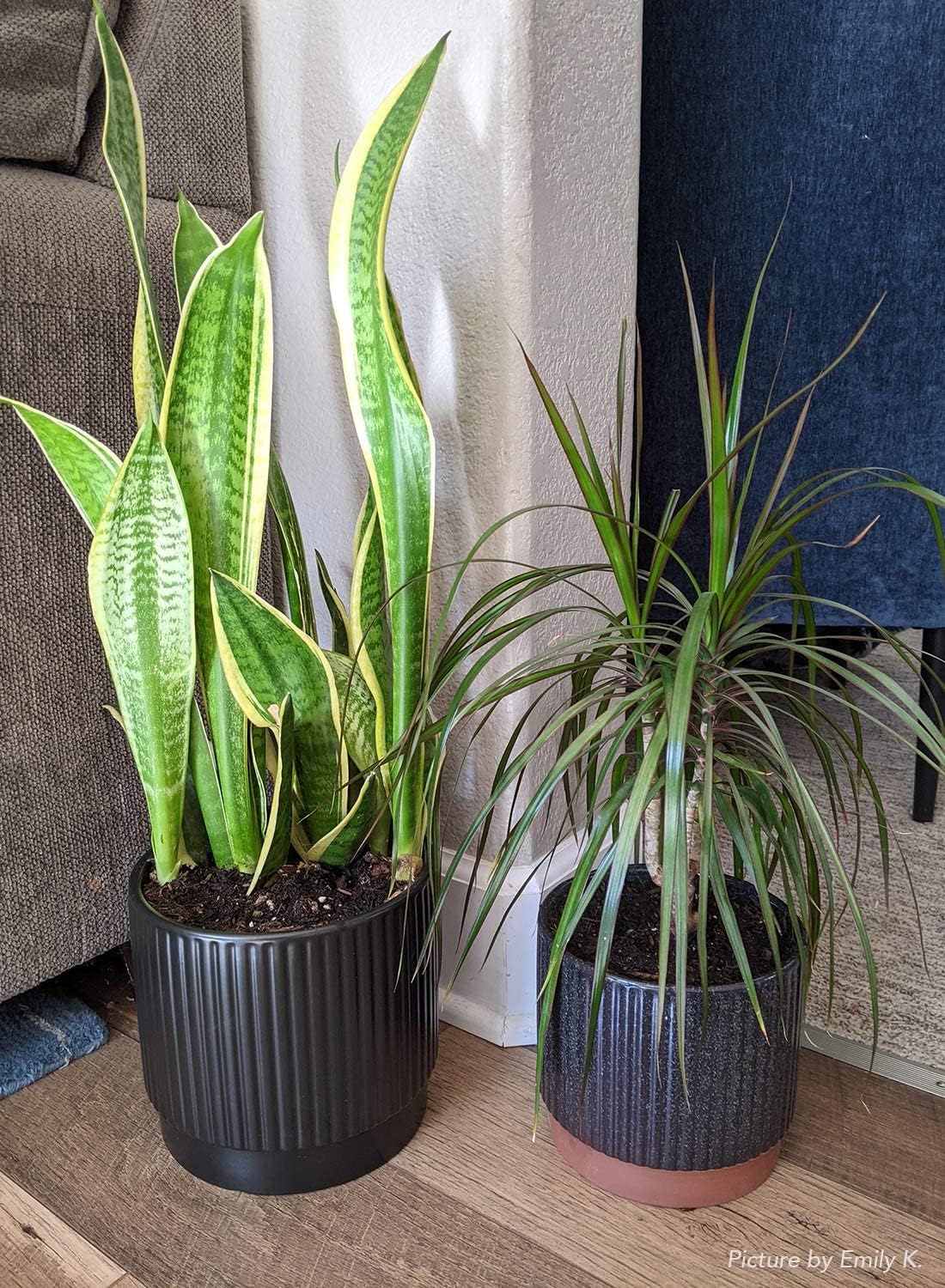 3‑Pack Black Reactive‑Glaze Stripe Ceramic Planter